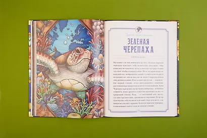 Магический бестиарий. Вдохновляющие послания и ритуалы от 36 волшебных животных (+36 карт) - фото 11