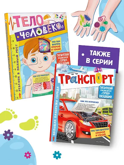 Тело человека - фото 5