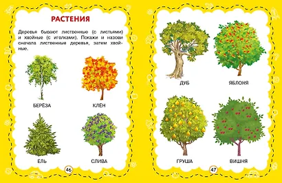 Познаем мир - фото 7