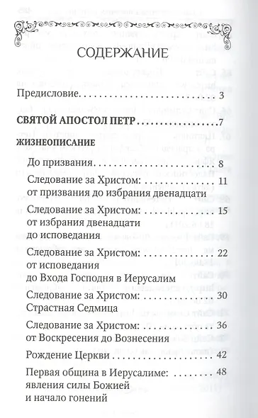 Святые апостолы Петр и Павел - фото 2
