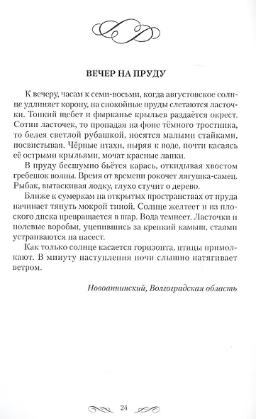 Времена года. Прогулки с самим собой - фото 5