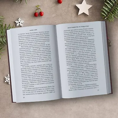 Духи Рождества на Трэдд-стрит - фото 7