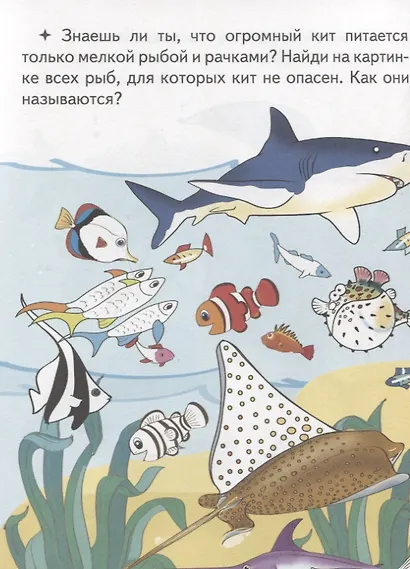 Кто в море живет? - фото 3