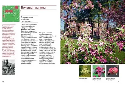 Прогулки в Царицыне с натуралистом - фото 4