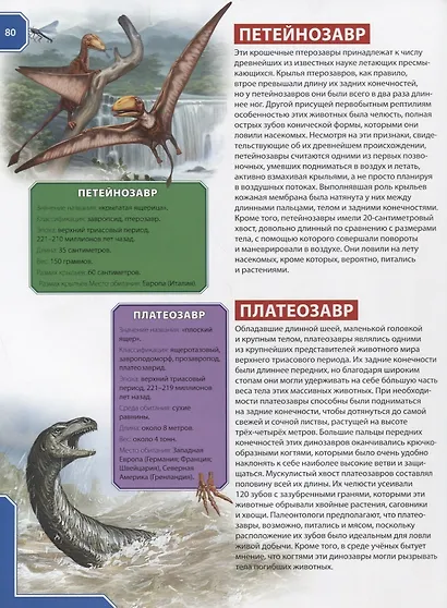 Динозавры. Энциклопедия для детей - фото 6