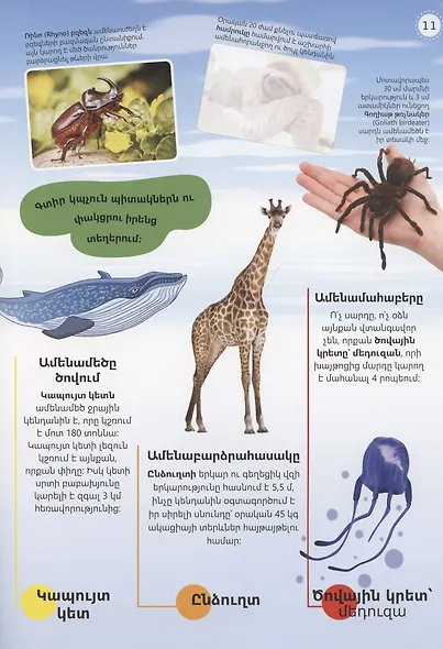 Мой атлас мировых рекордов (на армянском языке) - фото 3