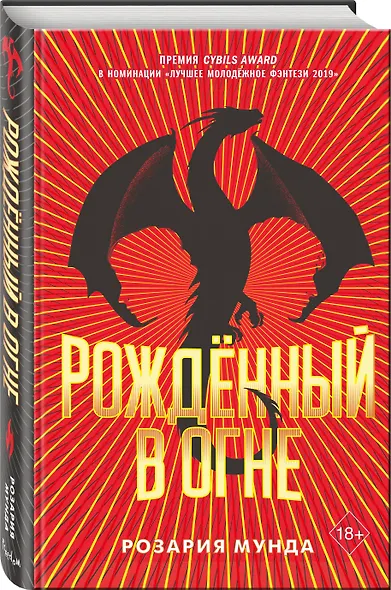 Рожденный в огне - фото 3