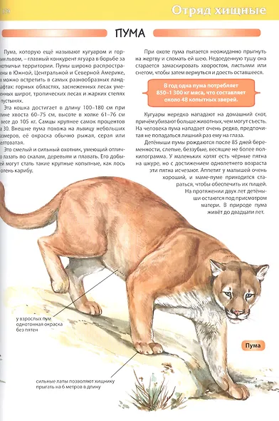 Животные. Детская энциклопедия - фото 7
