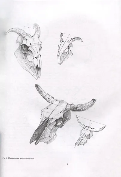 Основы учебного академического рисунка - фото 11