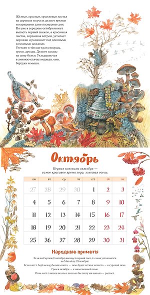 Календарь 2027г 290*290 "Календарь родной природы (ил. М. Белоусовой)" настенный, на скрепке - фото 5