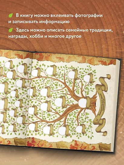 Родословная книга "Семейное древо" - фото 5