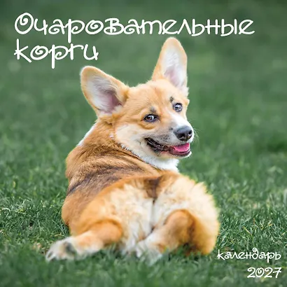 Очаровательные корги. Календарь настенный на 2027 год (300х300 мм) - фото 2