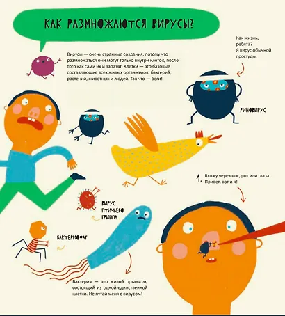 Тайная жизнь вирусов - фото 3