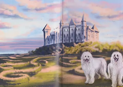 Меня зовут Ро-де-ри! - фото 4