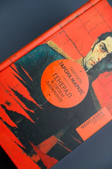 Генерал в своем лабиринте - фото 6