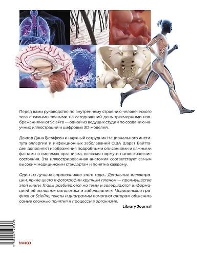 Анатомия человека. Визуальный гид по всем системам организма: норма и патологии - фото 2