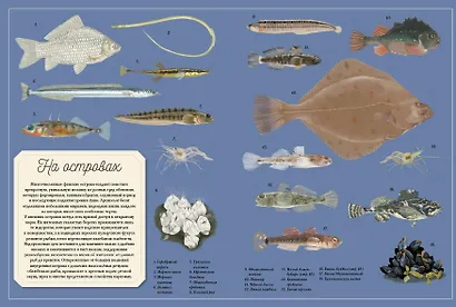 Муми-тролли на рыбалке - фото 8