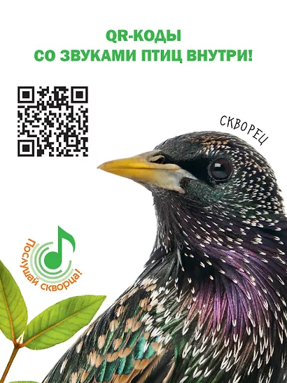 Птицы - фото 6