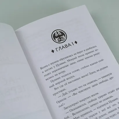 Драконья сага. Потерянная принцесса - фото 9