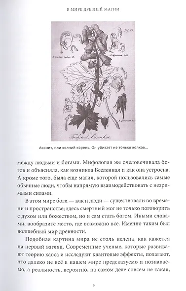 Древняя магия. От драконов и оборотней до зелий и защиты от темных сил - фото 14