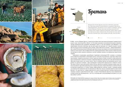 Французская региональная кухня - фото 6