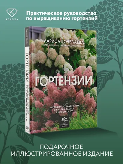 Гортензии. Выращиваем, ухаживаем и наслаждаемся в любом саду - фото 4