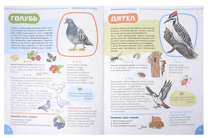 Я познаю мир. Птицы. Познавательная книга для детей 4-8 лет - фото 4