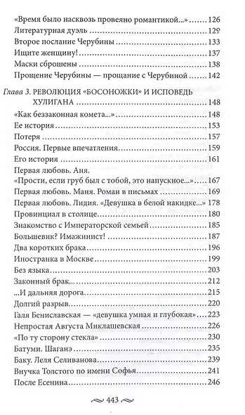 Любовь в Серебряном веке. Истории о музах и женах русских поэтов и писателей. Радости и переживания - фото 3