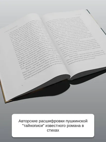 Ев - гений О! Не - гин: роман-иллюзия - фото 7