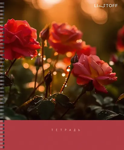 Тетрадь в клетку Listoff, "После дождя", 80 листов - фото 3