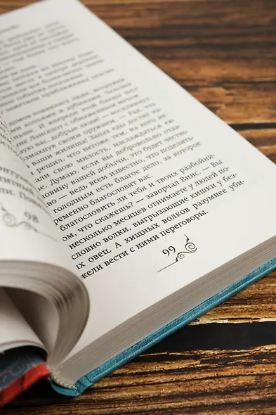 Хозяйка разрушенной крепости - фото 11