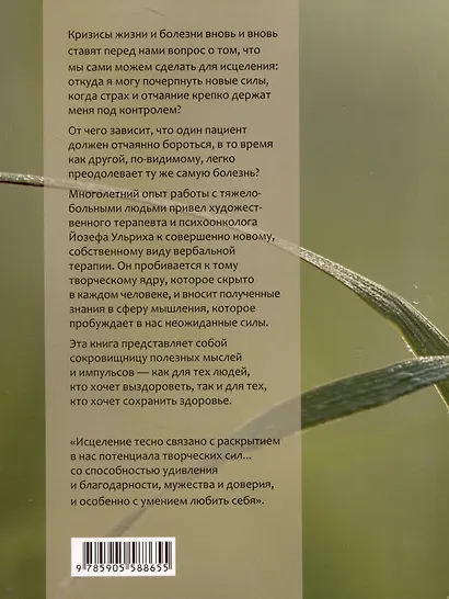 Силы самоисцеления. Источники здоровья и качества жизни - фото 2