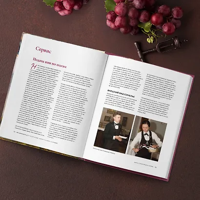 PRO SOMMELIER. Учебник сомелье: дегустация, сервис, эногастромия, энография - фото 5