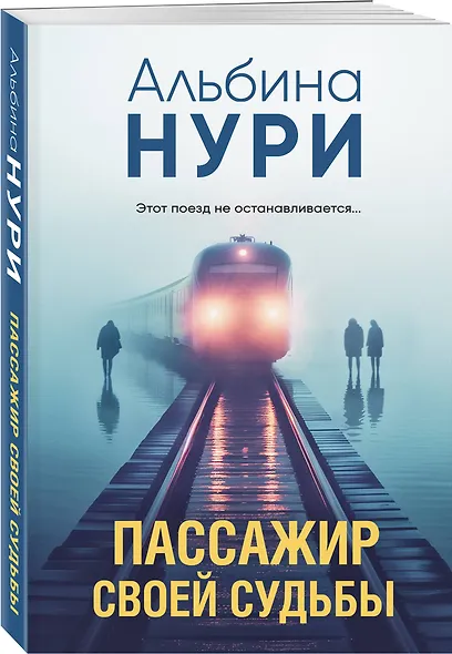 Пассажир своей судьбы - фото 3