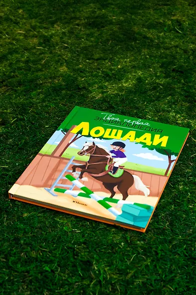 Лошади - фото 6