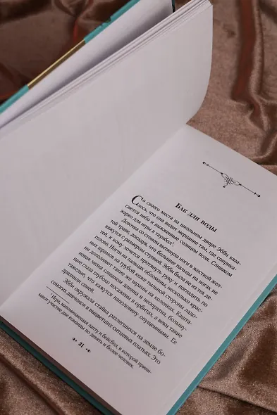 Желанная страна - фото 13