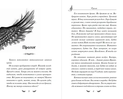 Соколиный пик. Стражи небес (#1) - фото 4