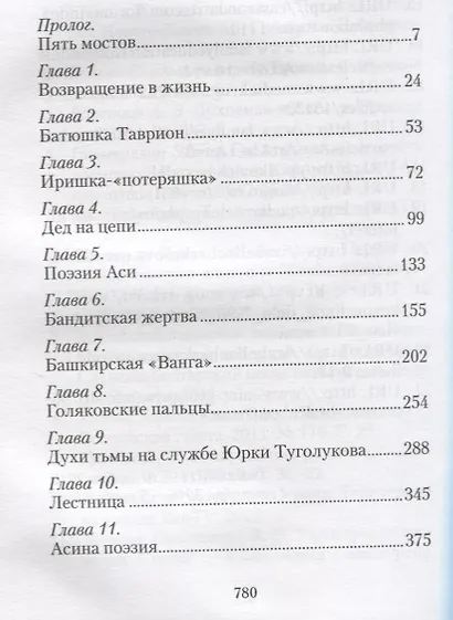 Пятый мост - фото 2