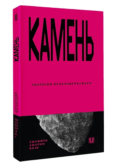 Камень. Экология нечеловеческого - фото 3