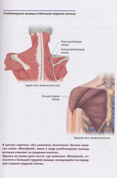 Анатомия шедевров. Что видит врач там, где другие видят только искусство - фото 10
