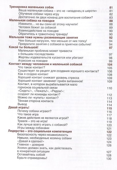 Маленькие собаки - большое чудо - фото 3