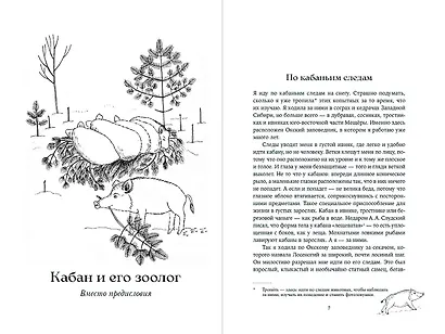 Гнездо кабана: Истории из заповедника - фото 2