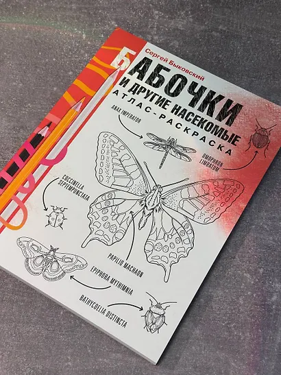 Бабочки и другие насекомые - фото 4