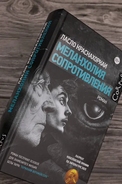 Меланхолия сопротивления - фото 7