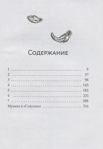 Совушка - фото 3