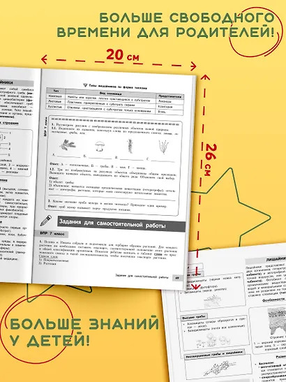 Биология - фото 6