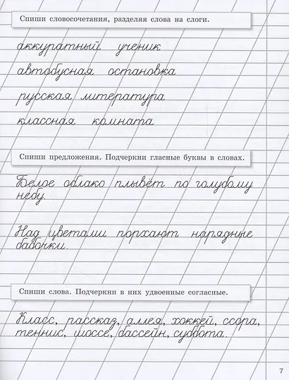 Прописи на каникулы с заданиями по орфографии. 2 класс - фото 4