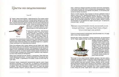 За руку с лесом. Жизнь в ритме природы, янтарный мёд и деревенское крыльцо - фото 11