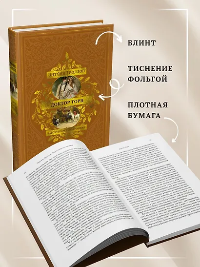 Барсетширские хроники. Книга 2. Доктор Торн - фото 6