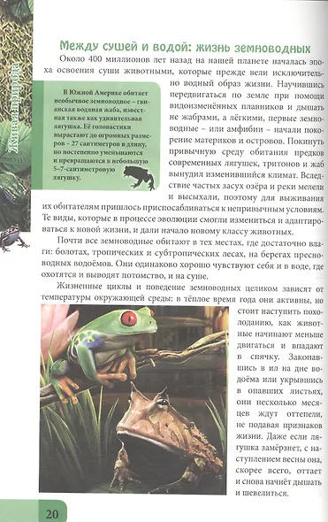 ЭНЦИКЛОПЕДИЯ. В МИРЕ ЗНАНИЙ. ЖИВАЯ ПРИРОДА - фото 4